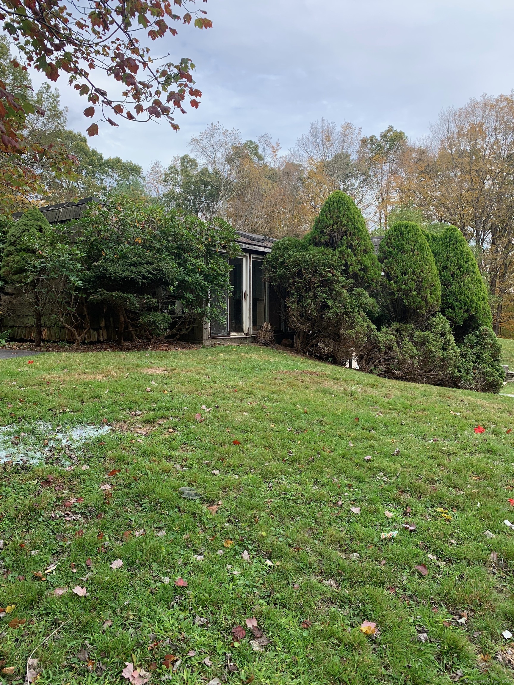 99 Obtuse Hill Road Brookfield, CT 06804 - Photo 7 of 31 a view of a garden