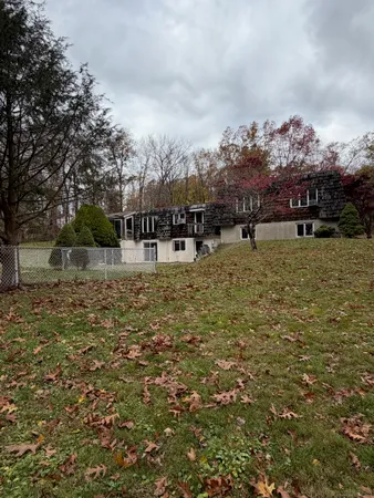 a view of a yard with plants and large trees
