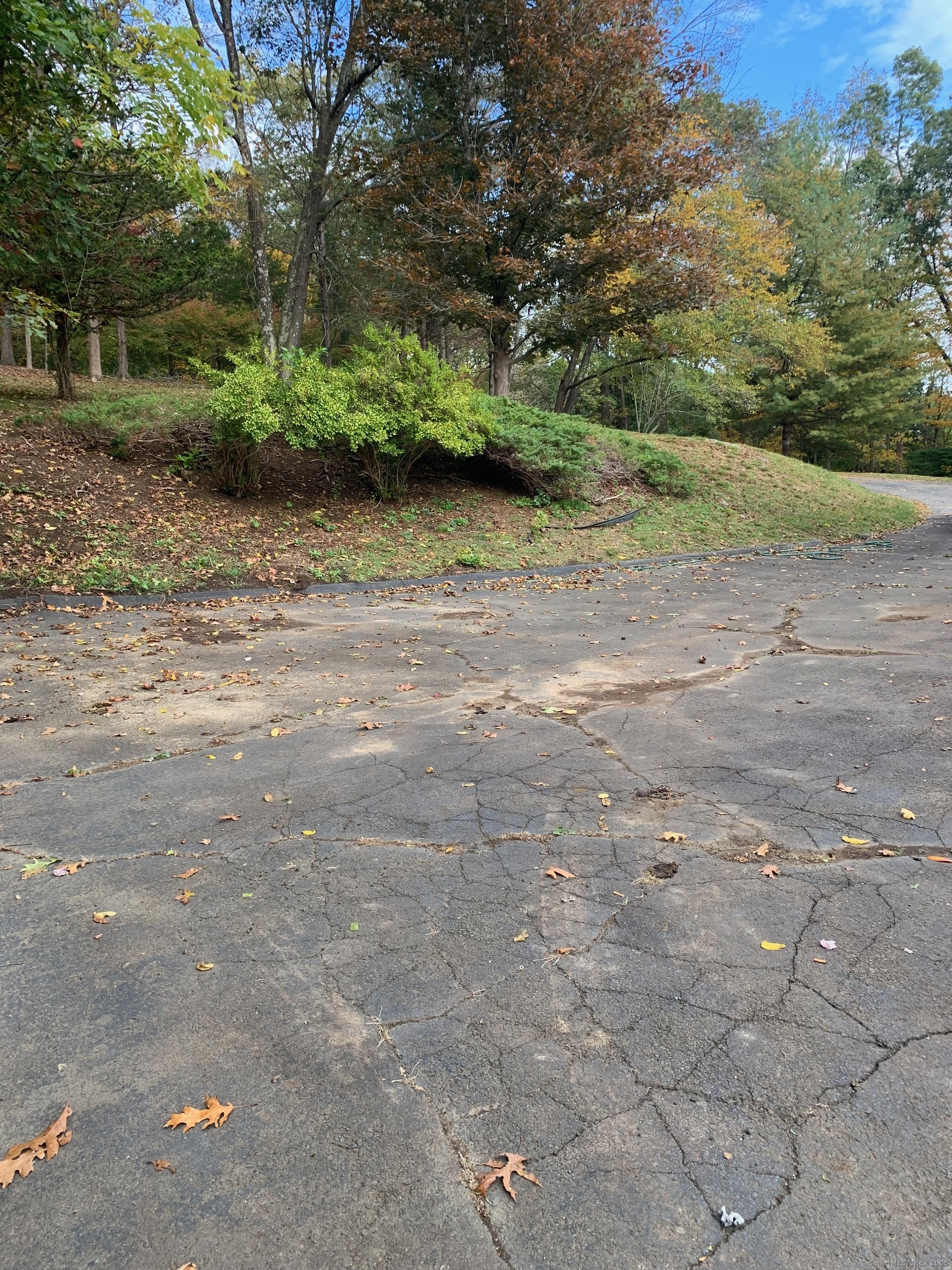 99 Obtuse Hill Road Brookfield, CT 06804 - Photo 10 of 31 a view of a yard with plants and large trees