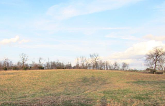 387 Purtle Road Lafayette, TN 37083 - Photo 2 of 4 View from the side of the property. Adjoining 5.48 acres in the background