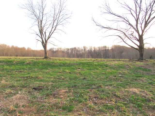 387 Purtle Road Lafayette, TN 37083 - Photo 3 of 4 A couple of nice trees on a little knoll back off the rd. A home would look nice here!