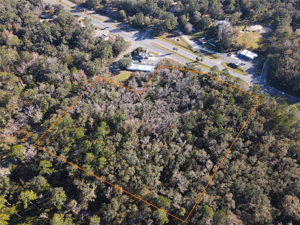 102 Northeast Highway 441 Micanopy, FL 32667 - Photo 3 of 8