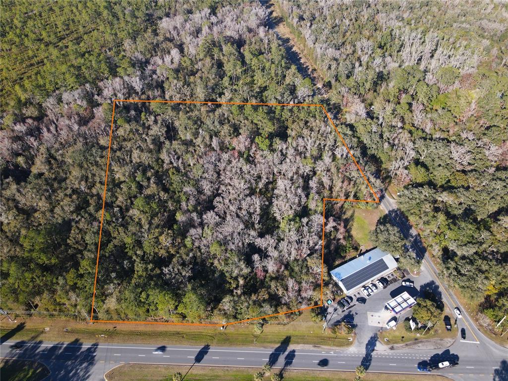 102 Northeast Highway 441 Micanopy, FL 32667 - Photo 4 of 8