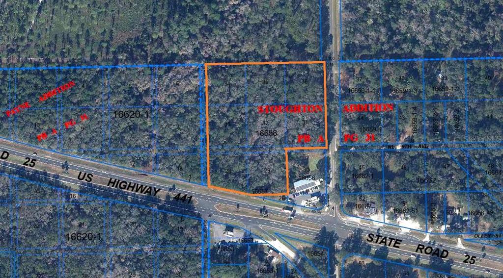 102 Northeast Highway 441 Micanopy, FL 32667 - Photo 6 of 8