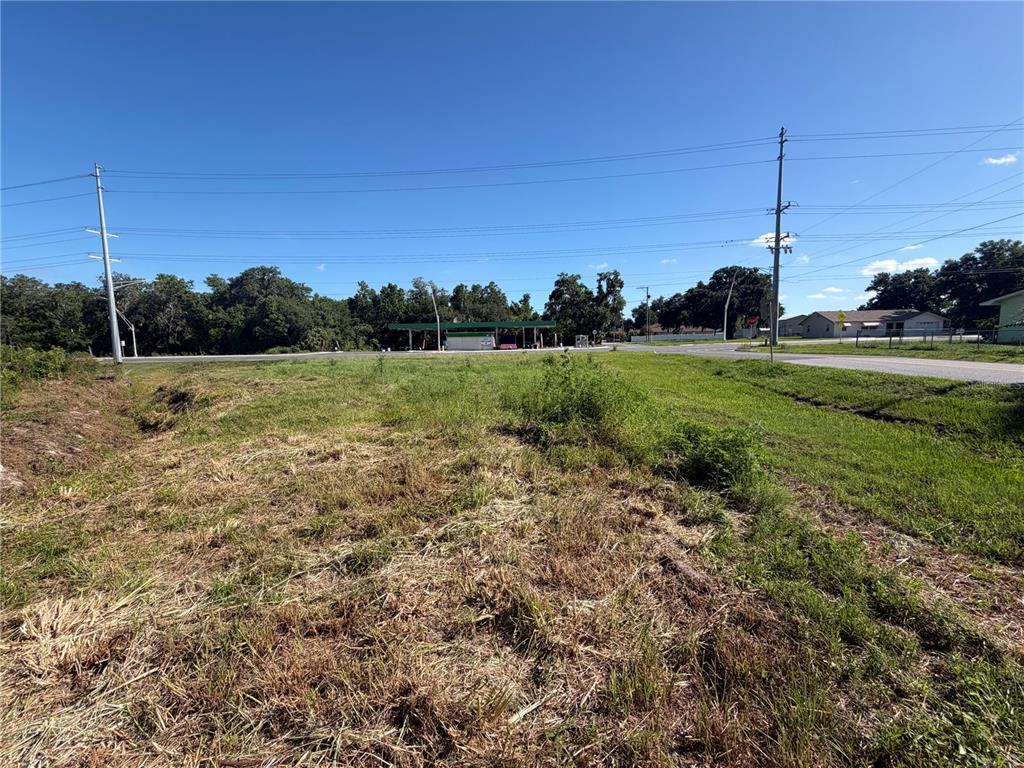 Dossey Road South Lakeland, FL 33811 - Photo 3 of 10 a view of a field with a tree