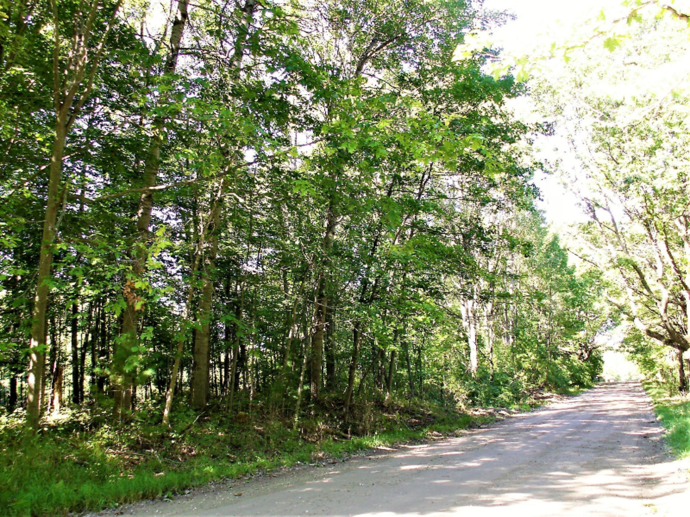 10 North Rath Road Ludington, MI 49431 - Photo 3 of 7 PICT0509 (2)