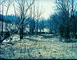 0 Ditto Road Waddy, KY 40076 - Photo 1 of 1 Primary Photo