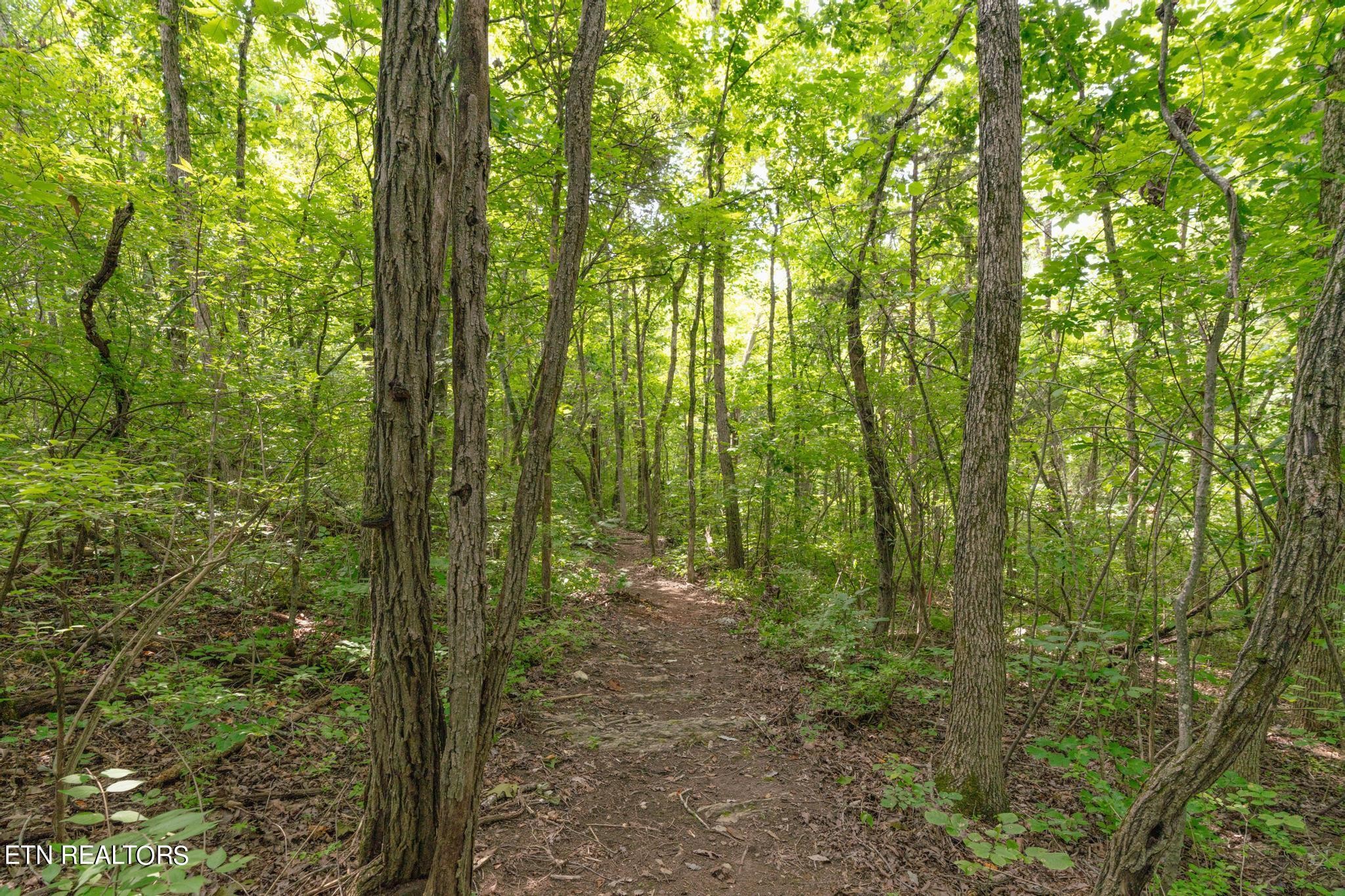 0 Brown Mountain Loop Road Knoxville, TN 37920 - Photo 12 of 24 Gallery Image 12