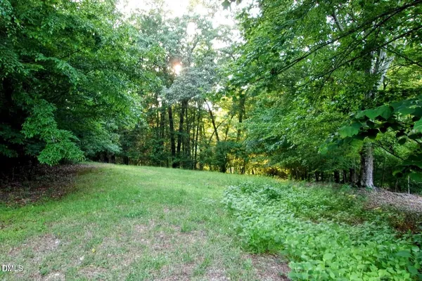 a view of a lush green space
