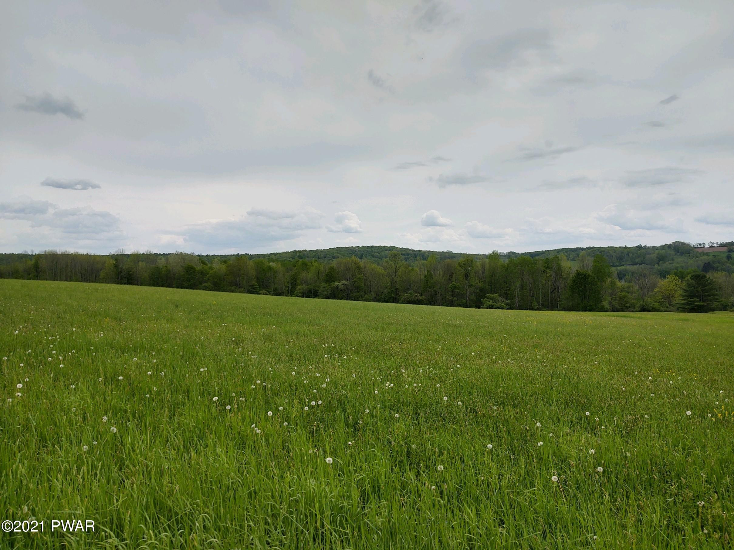 Joslyn Road Guilford, NY 13780 - Photo 6 of 11