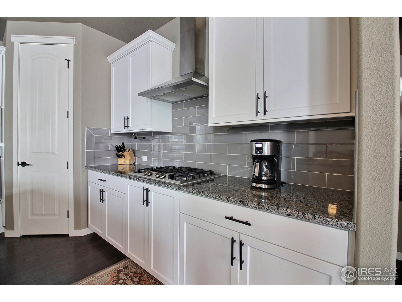 1518 Red Tail Road Eaton, CO 80615 - Photo 14 of 36 Pantry