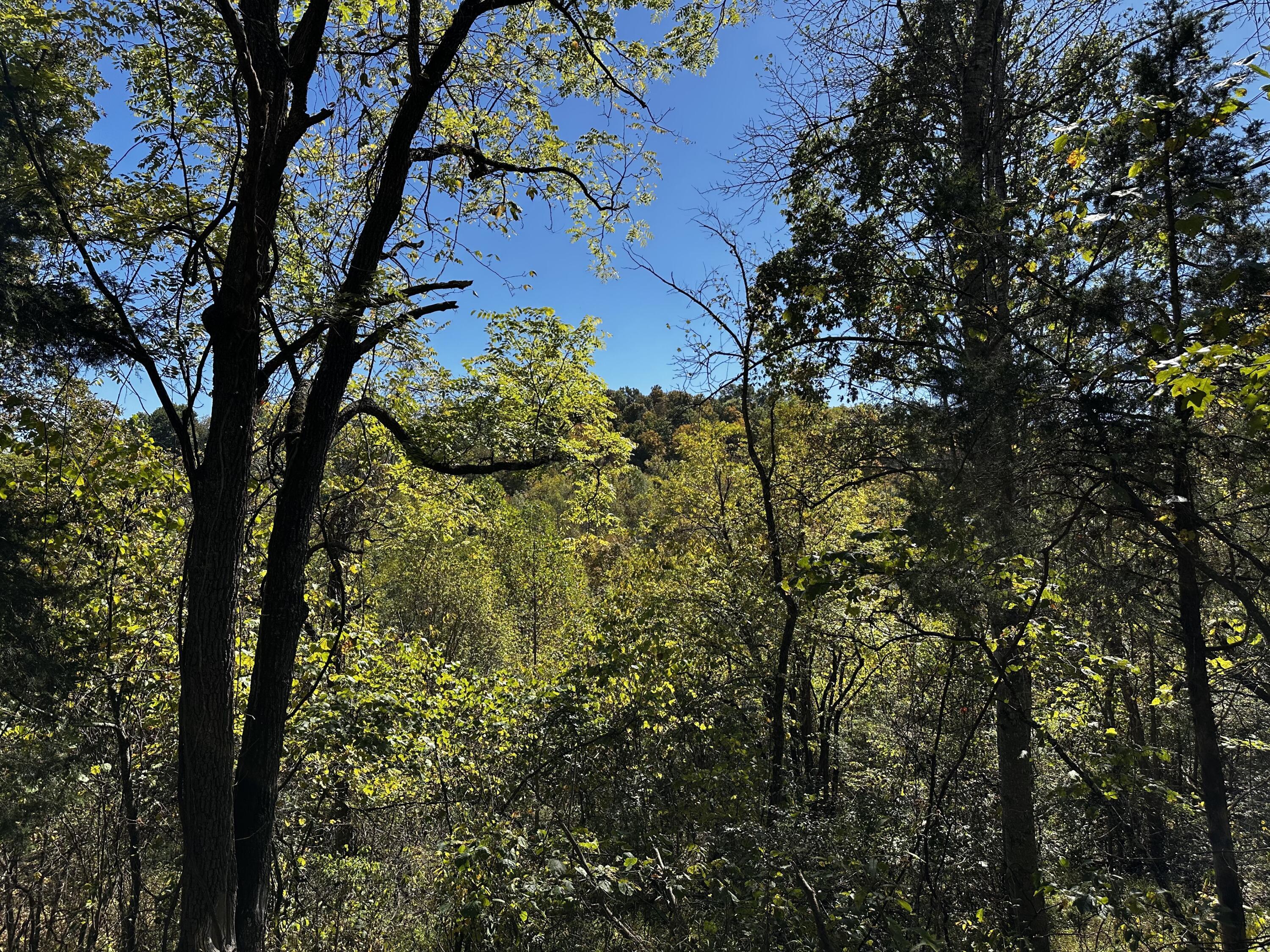 865 Hull Road, Unit TRACT 13 WOODS WAYNE FOREST) Patriot, OH 45658 - Photo 22 of 57 20241008_175045110_iOS