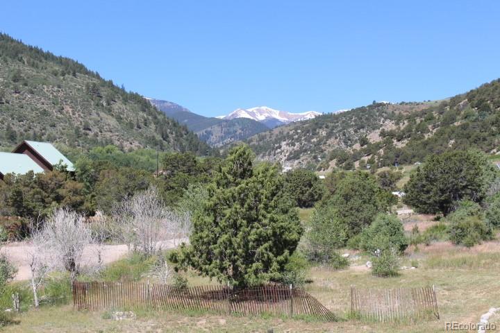 17075 County Road 220 Salida, CO 81201 - Photo 13 of 18 a view of a forest with a mountain in the background
