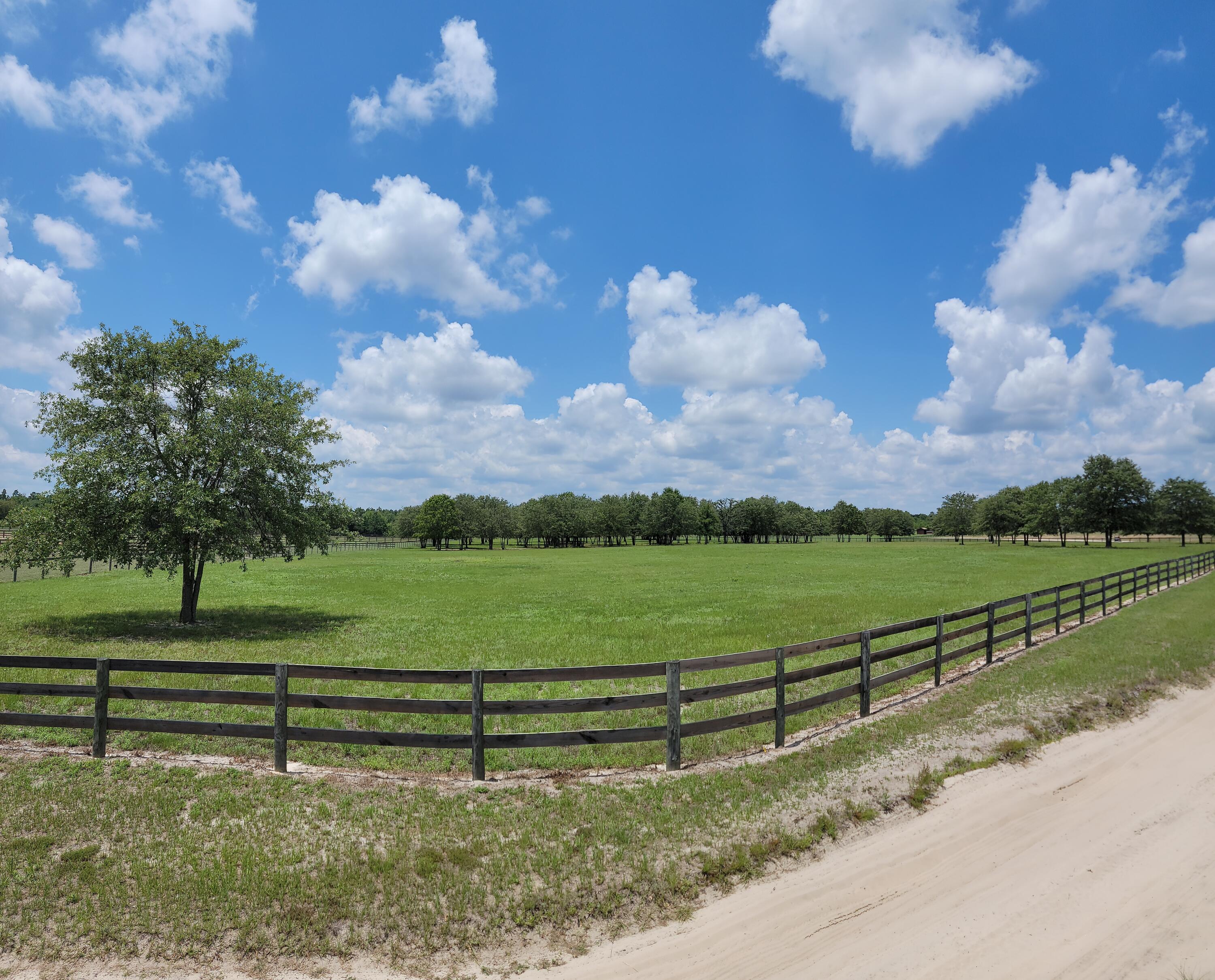 0 Riker Trail Windsor, SC 29856 - Photo 8 of 21