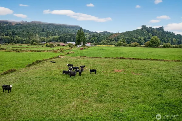 $895,000 | 1710 Highway 4, Skamokawa, WA 98647