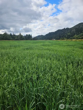 $895,000 | 1710 Highway 4, Skamokawa, WA 98647