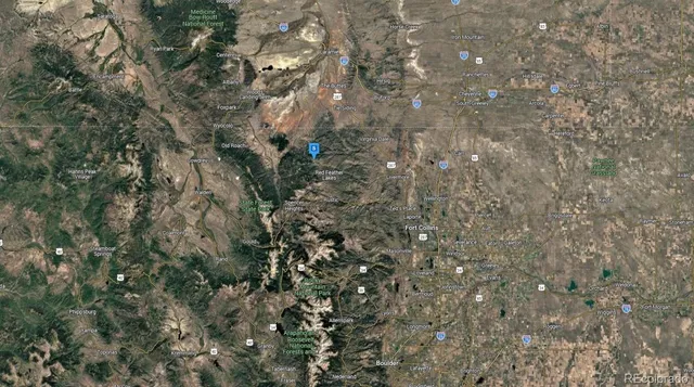 a close up of a tree