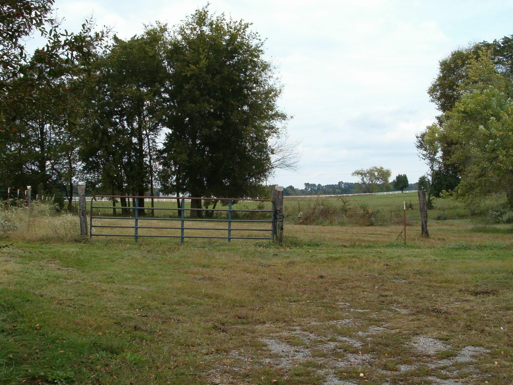 1125 Southgate Road Madisonville, TN 37354 - Photo 10 of 10 006