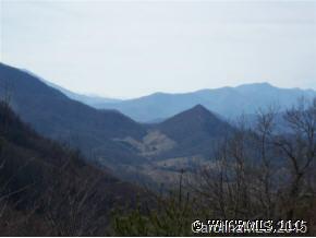 56 Rock House Cove Road, Unit 56 Clyde, NC 28721 - Photo 12 of 12 Gallery Image 12