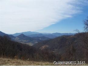 56 Rock House Cove Road, Unit 56 Clyde, NC 28721 - Photo 10 of 12 Gallery Image 10