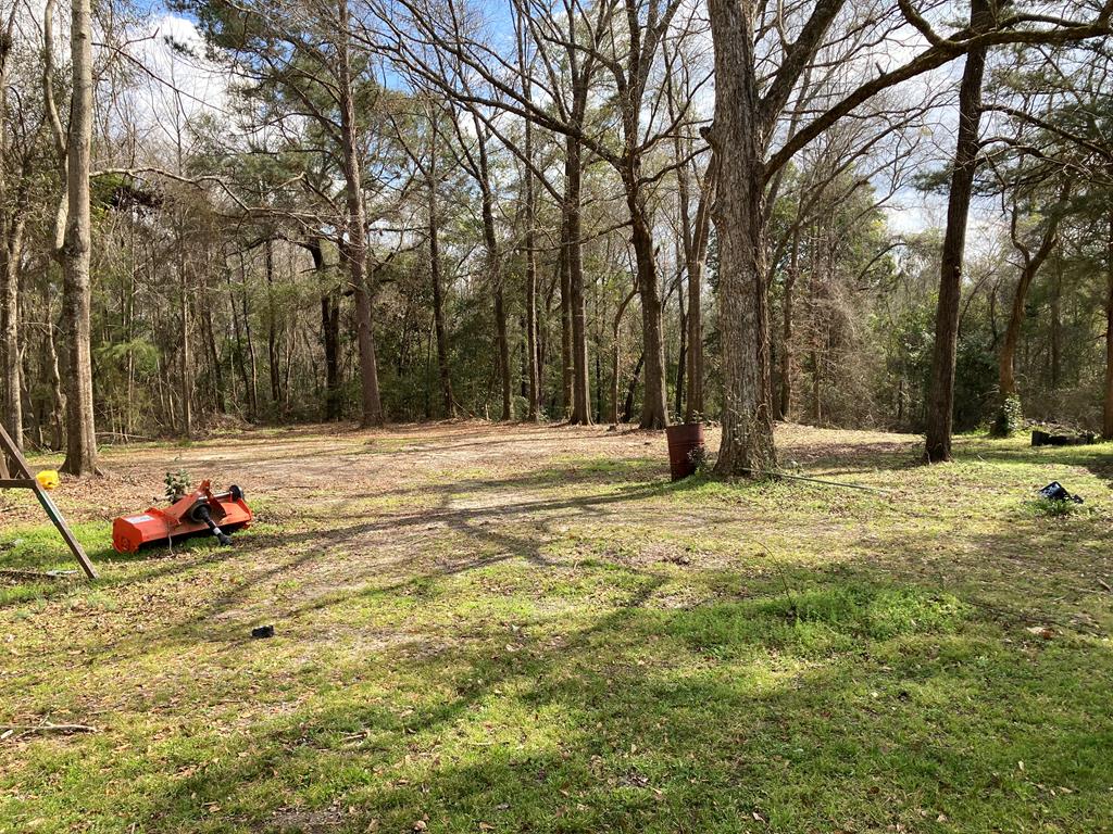 313 Ridge Road Castleberry, AL 36432 - Photo 31 of 35
