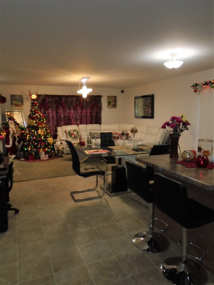 317 6th Avenue Rochelle, IL 61068 - Photo 3 of 11