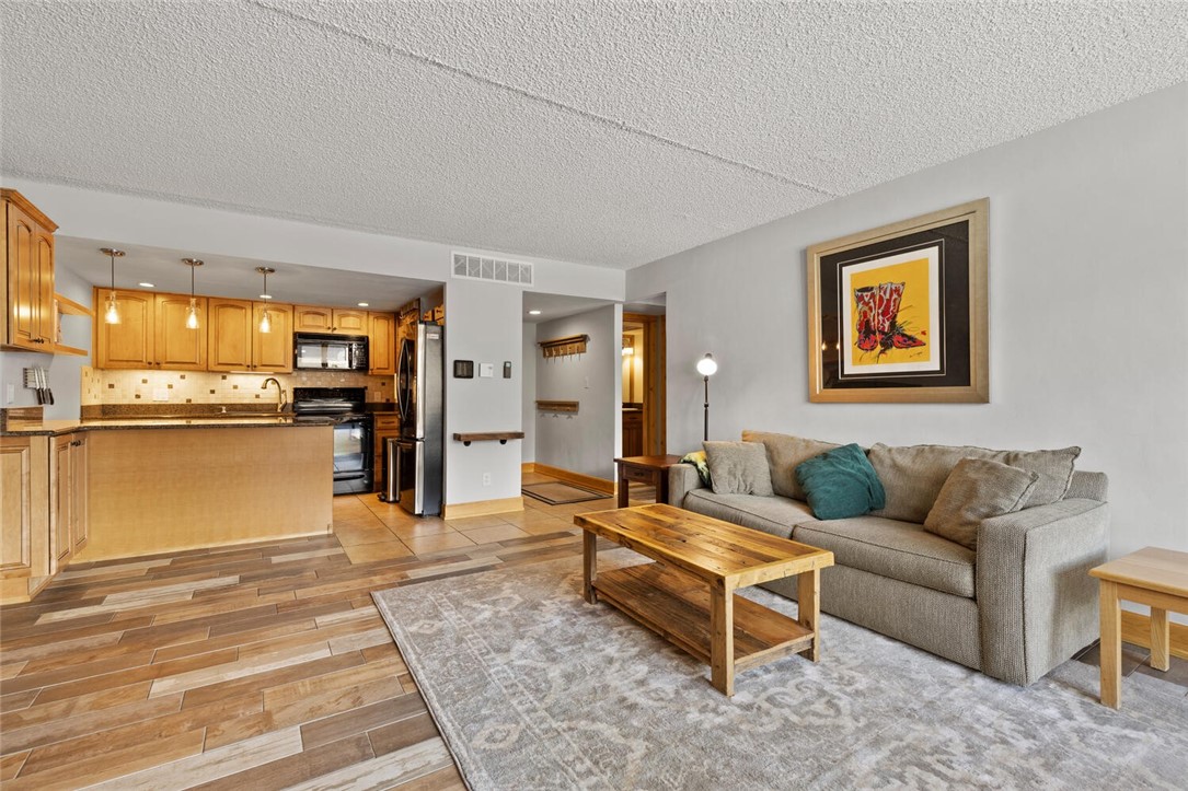 88 Guller Road, Unit 202 Frisco, CO 80443 - Photo 5 of 25 Gallery Image 5
