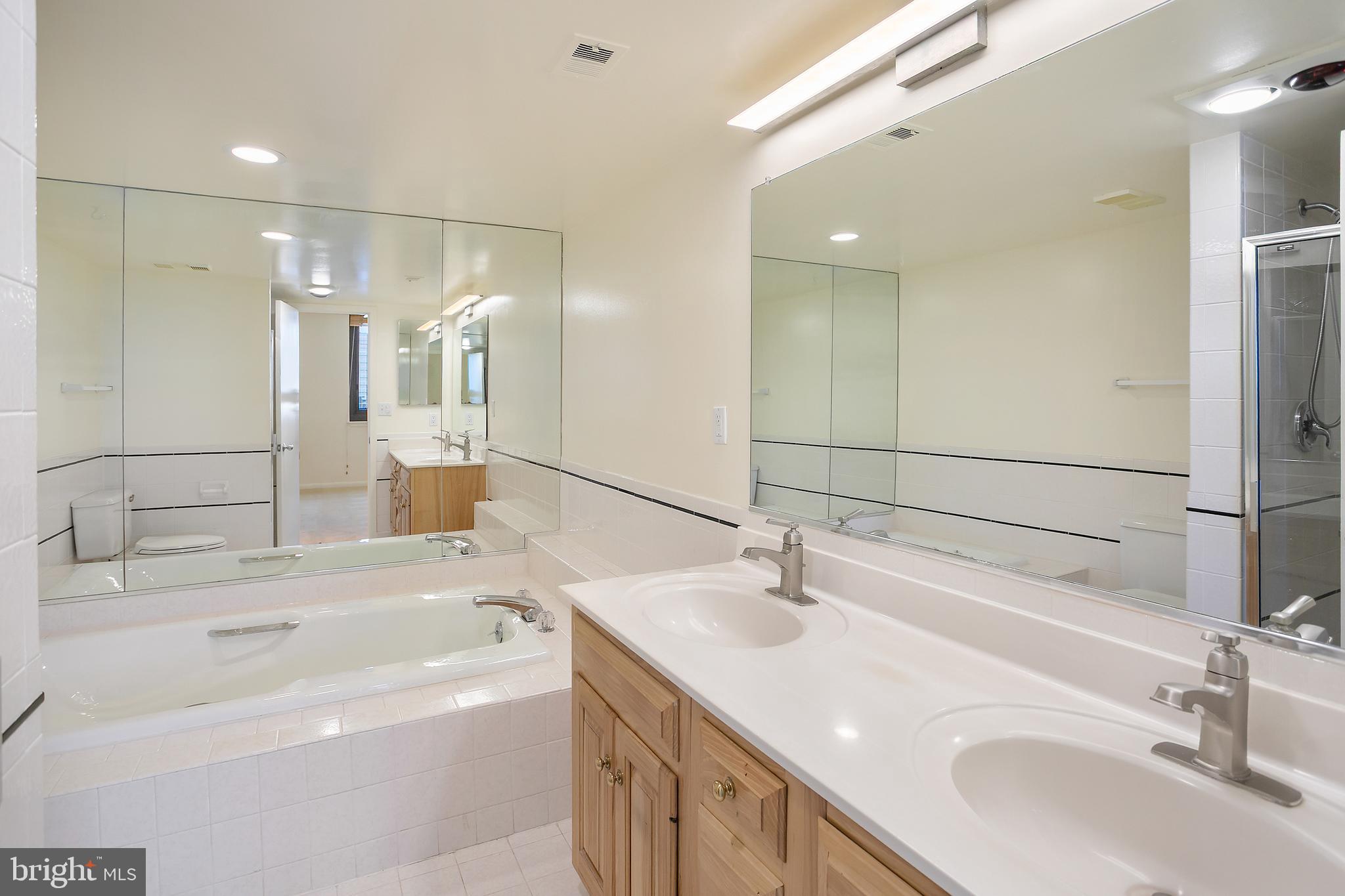 5505 Seminary Road, Unit 2605N Falls Church, VA 22041 - Photo 15 of 53 a bathroom with a tub sink and mirror