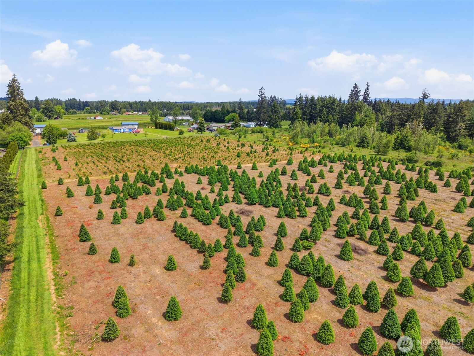2 Shiloh Road Winlock, WA 98596 - Photo 5 of 16 a view of a city