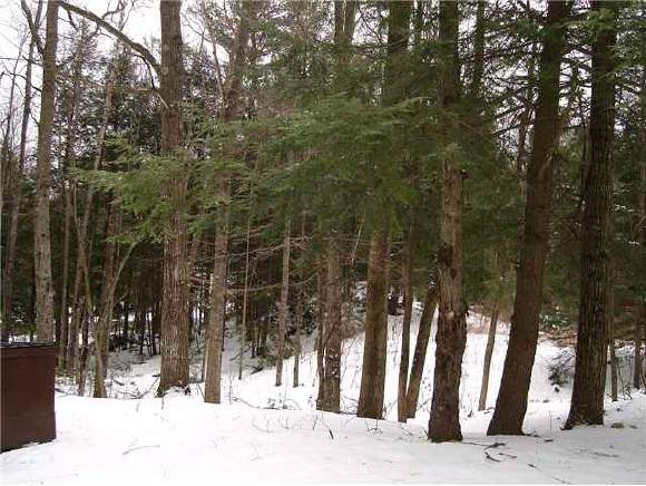 346 N Road North Sutton, NH 03260 - Photo 1 of 8