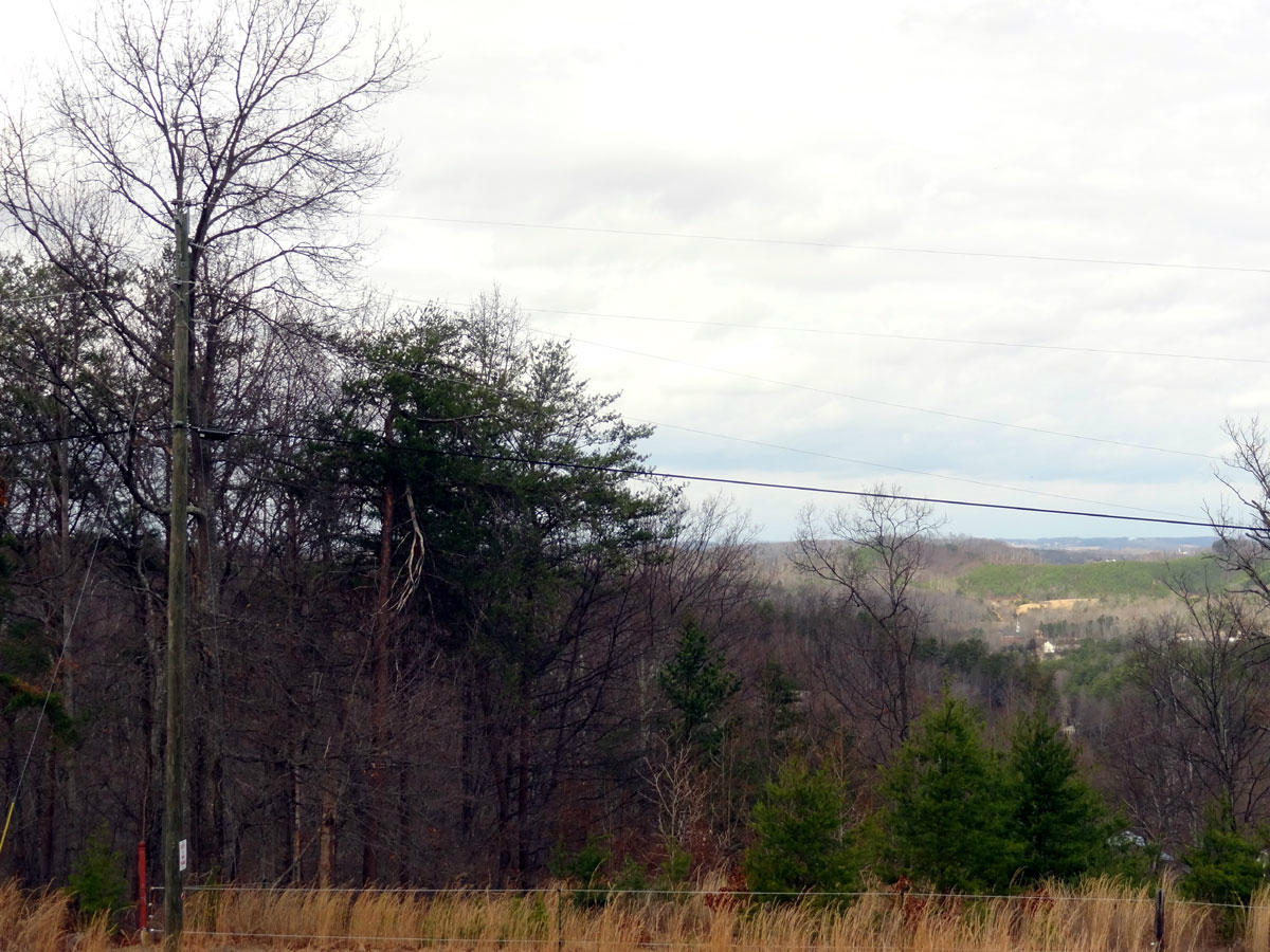 3750 Chilly Springs Road Maryville, TN 37803 - Photo 14 of 19 chilly12