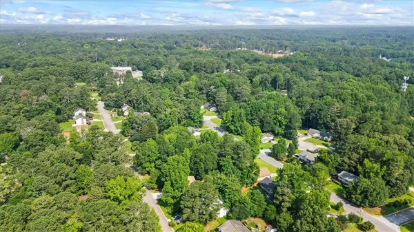 a view of a big yard with lots of bushes