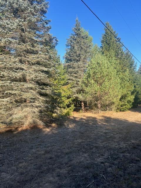 Vl C McKinley Road Big Rapids, MI 49307 - Photo 2 of 11 IMG_6991