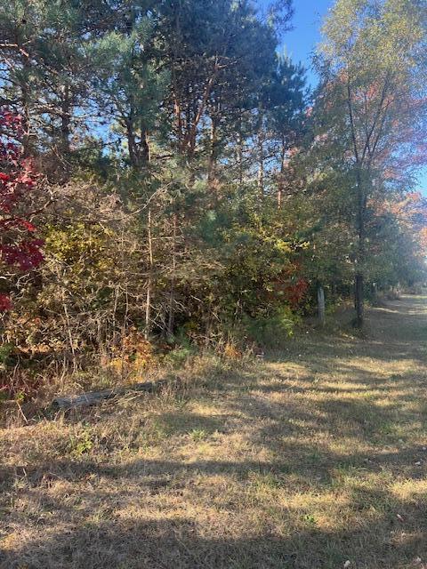 Vl C McKinley Road Big Rapids, MI 49307 - Photo 4 of 11 IMG_7002