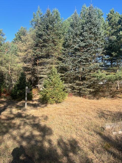 Vl C McKinley Road Big Rapids, MI 49307 - Photo 5 of 11 IMG_7007