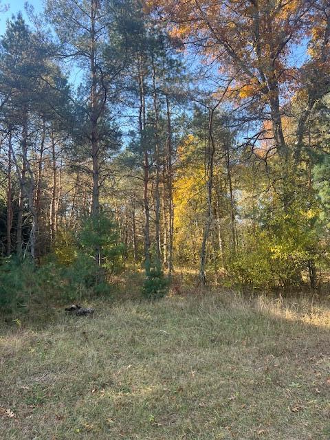 Vl C McKinley Road Big Rapids, MI 49307 - Photo 6 of 11 IMG_7015