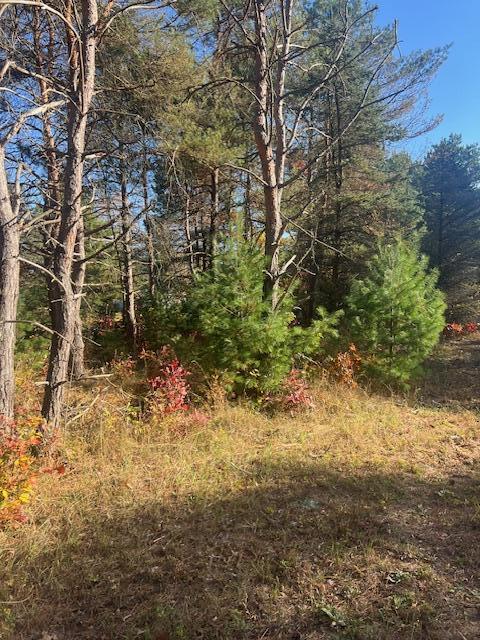 Vl C McKinley Road Big Rapids, MI 49307 - Photo 7 of 11 IMG_7019