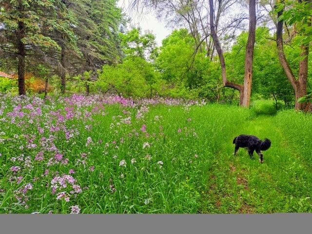 Vl C McKinley Road Big Rapids, MI 49307 - Photo 10 of 11 3