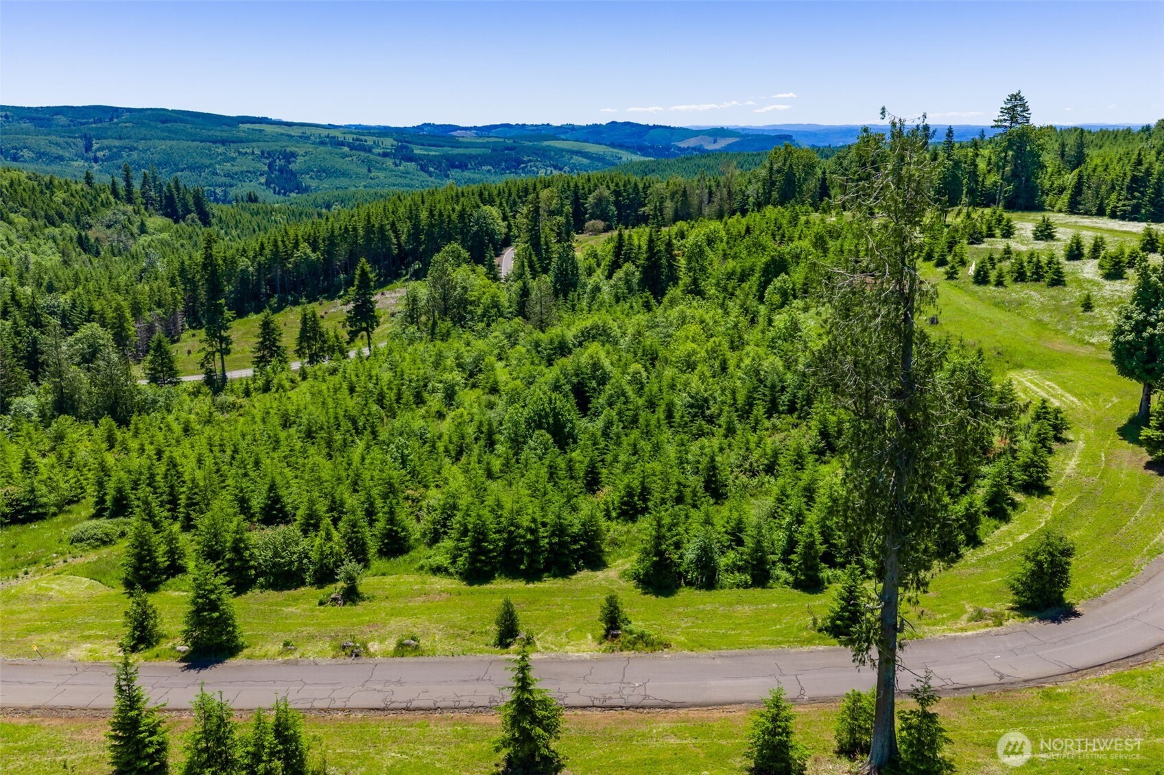 0 South Silver Lake Road Castle Rock, WA 98611 - Photo 11 of 18