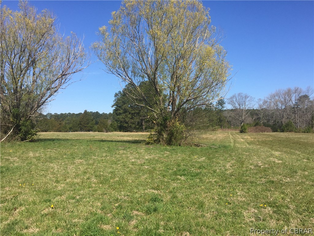 617 North River Road Foster, VA 23056 - Photo 5 of 5
