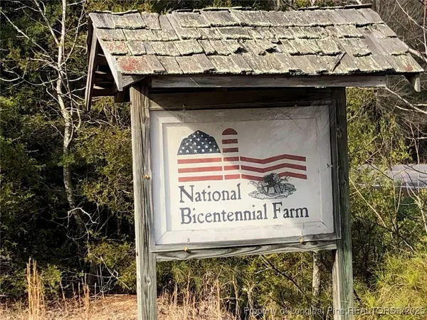 a view of a garden with a building in the background