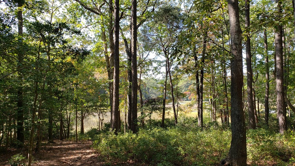 Lot 8 Wellington Neck Road, Unit 8 Franktown, VA 23354 - Photo 4 of 9