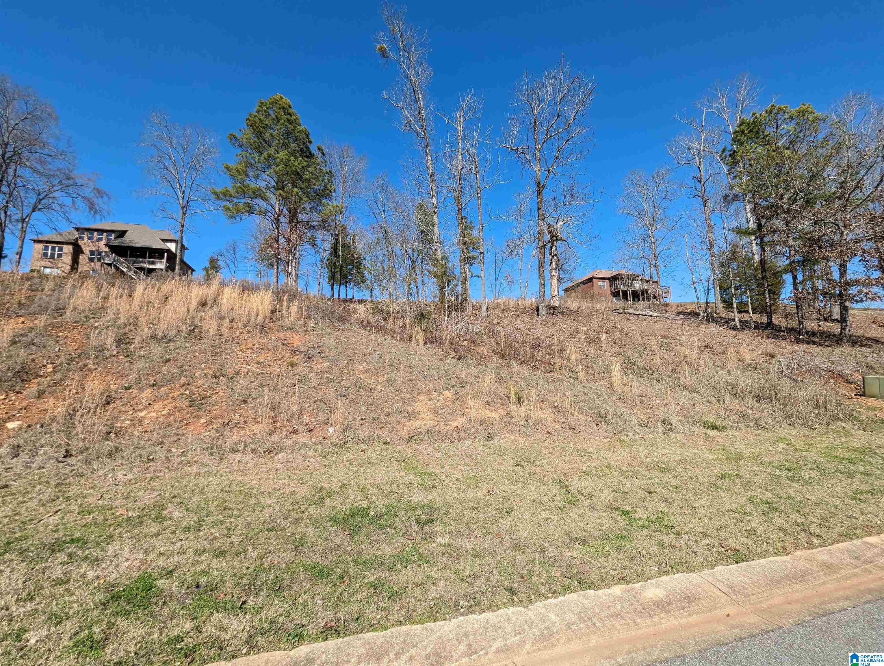 0 Overlook Ridge Lincoln, AL 35096 - Photo 25 of 33