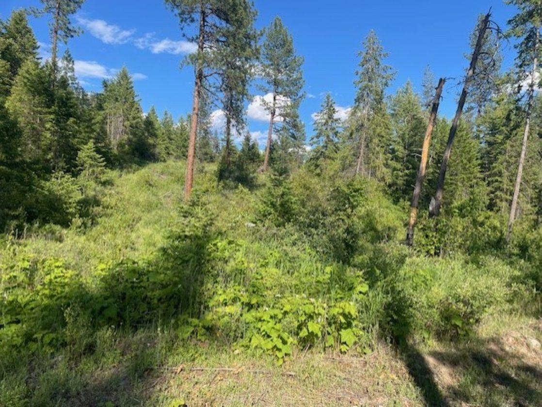 Nkn Bead Lake Road Oldtown, ID 83822 - Photo 4 of 27