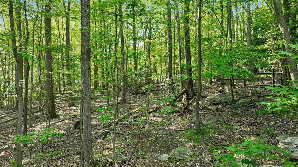 67 Spruce Peak Road Acme, PA 15610 - Photo 36 of 38 a view of a lush green forest