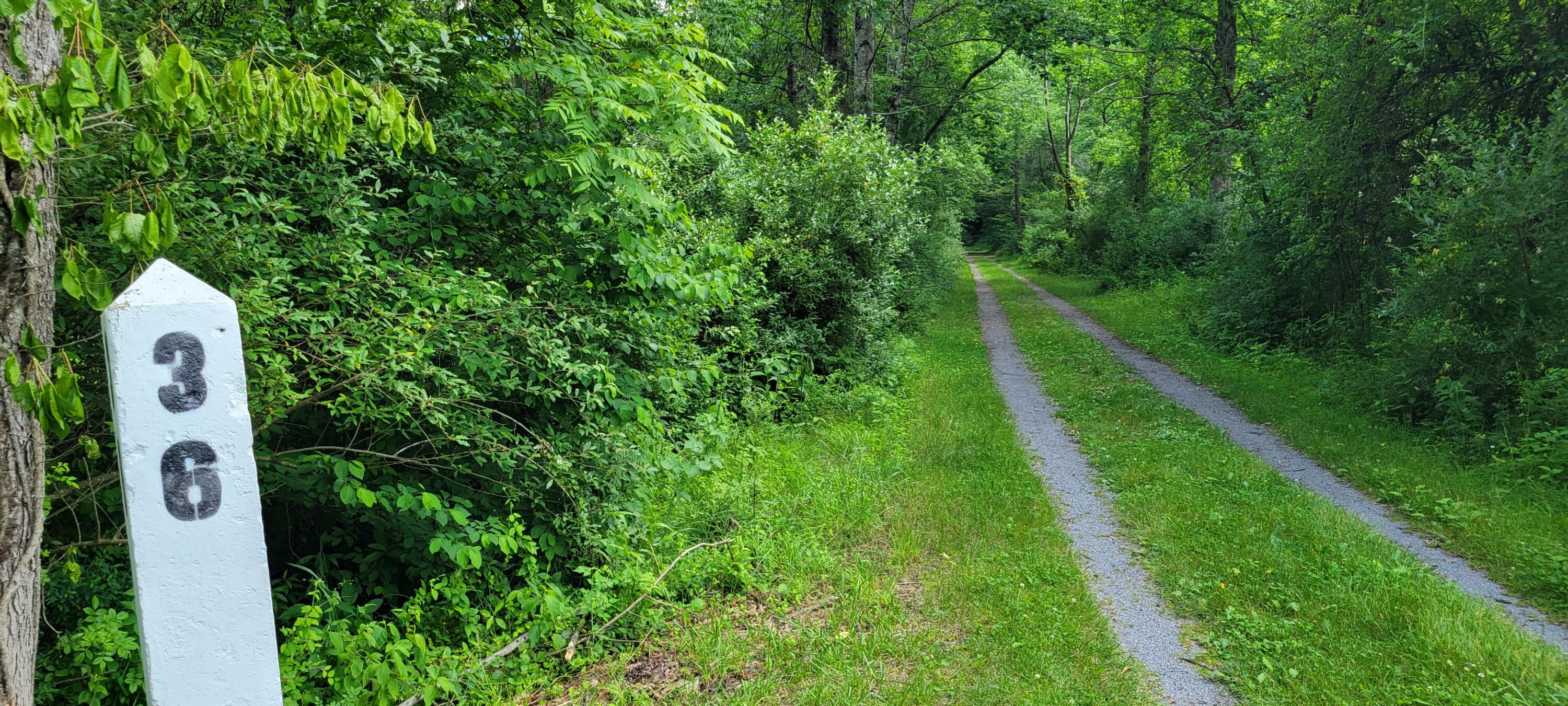Lot 3 Spice Run Road Hillsboro, WV 24946 - Photo 15 of 15 Gallery Image 15