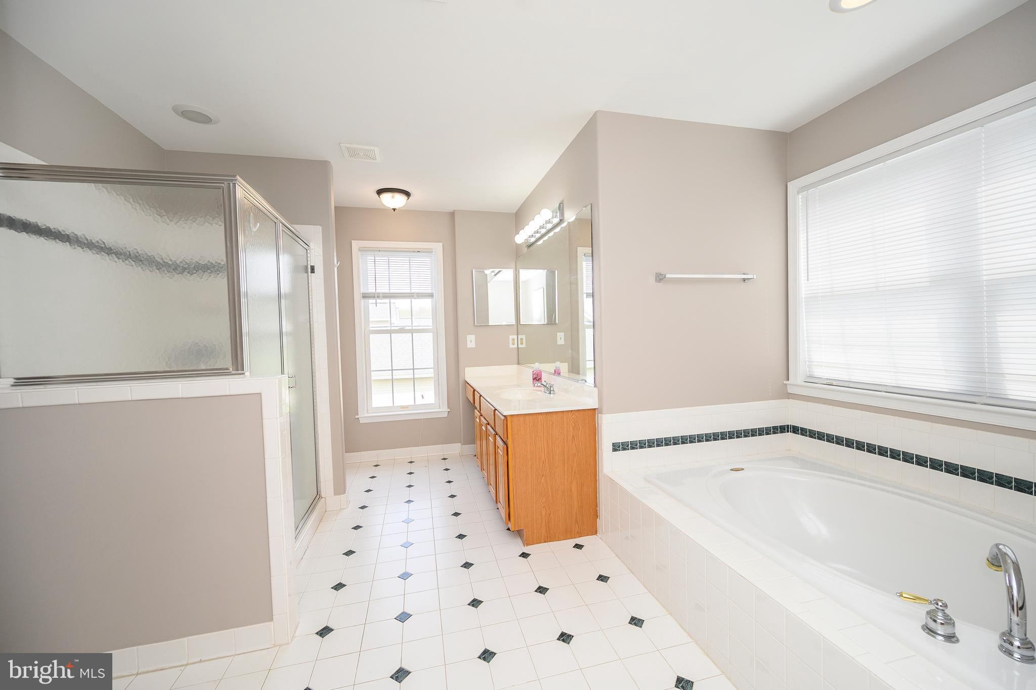 6126 Marineview Road King George, VA 22485 - Photo 24 of 50 Soaking Tub and Separate Shower