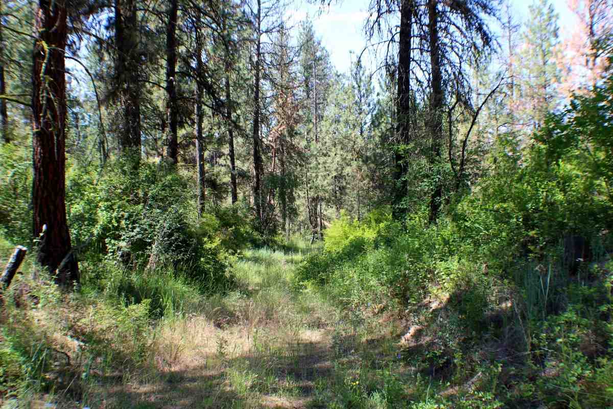 Xx West Williams Lake Road Cheney, WA 99004 - Photo 14 of 19 Gallery Image 14