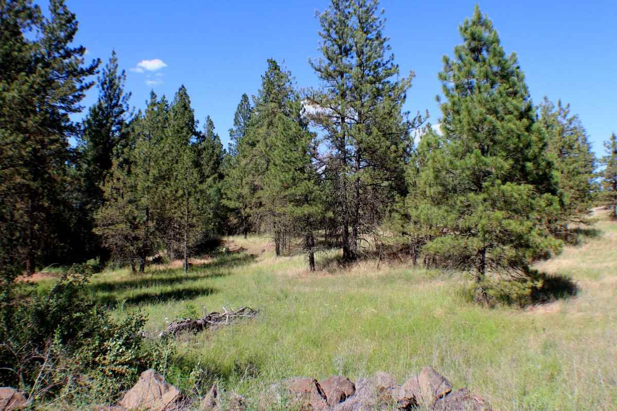 Xx West Williams Lake Road Cheney, WA 99004 - Photo 15 of 19 Gallery Image 15