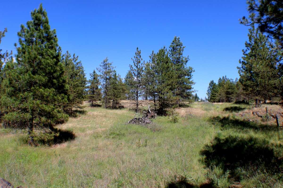 Xx West Williams Lake Road Cheney, WA 99004 - Photo 16 of 19 Gallery Image 16